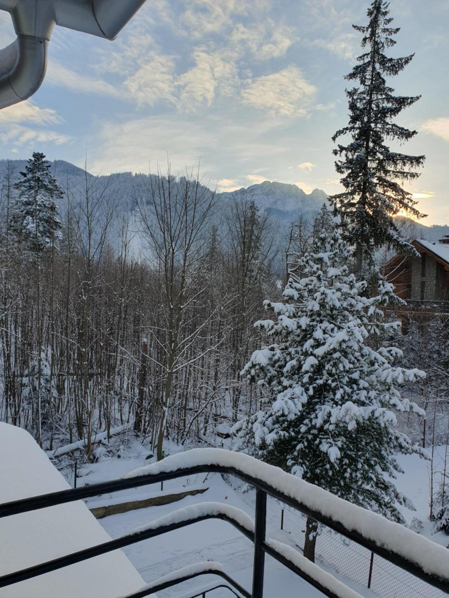 Asteria Apartment Zakopane Exterior photo