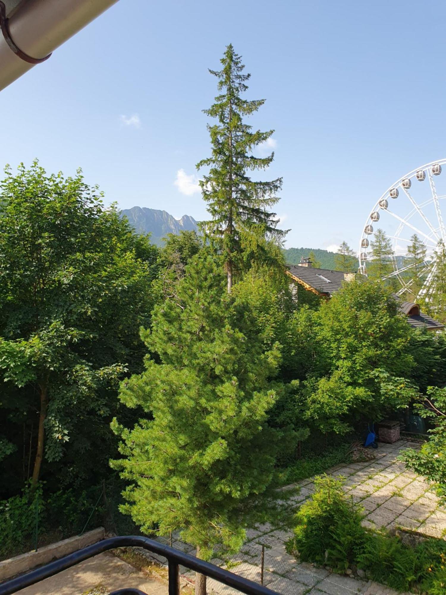 Asteria Apartment Zakopane Room photo